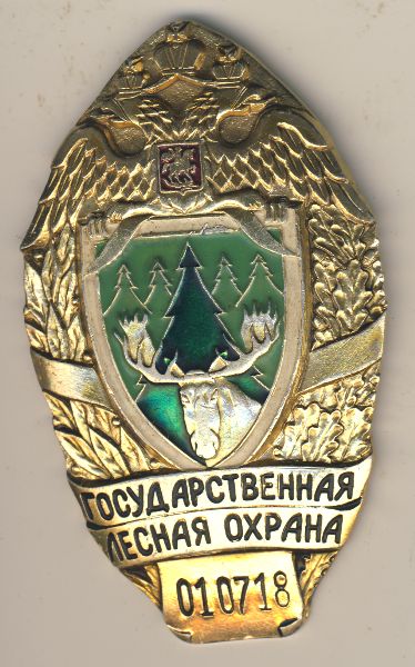 Шеврон лесная охрана рф. Государственная лесная охрана шеврон. Государственная лесная охрана. Шеврон лесного хозяйства. Государственная лесная охрана.