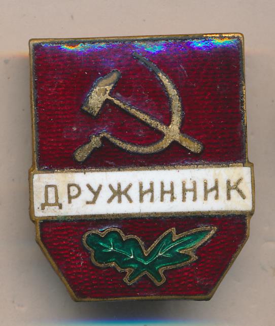 Знак Дружинник.