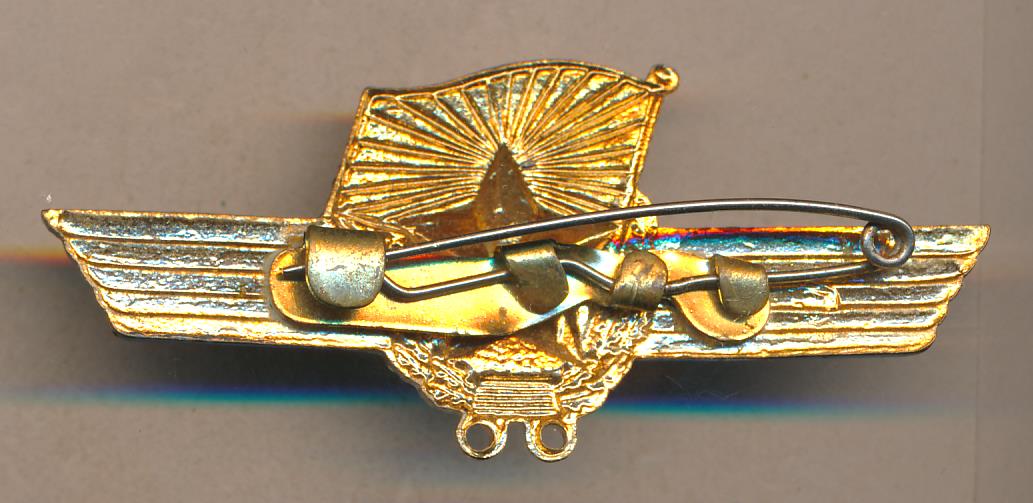 Знак За сверхсрочную службу в ВВС.