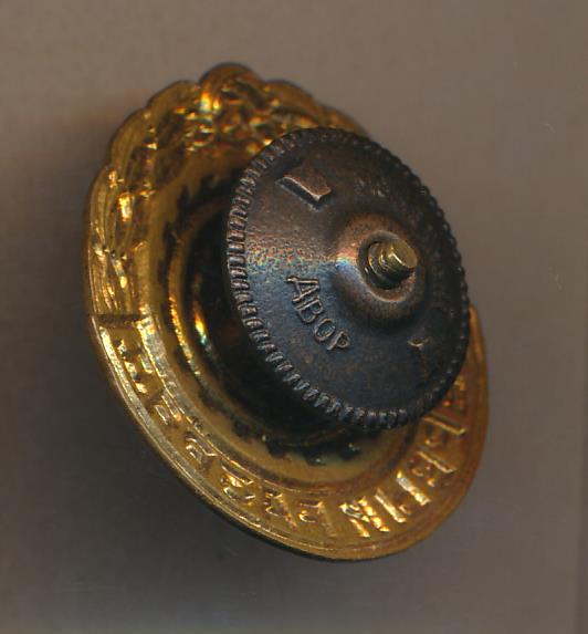 Знак Первый разряд.