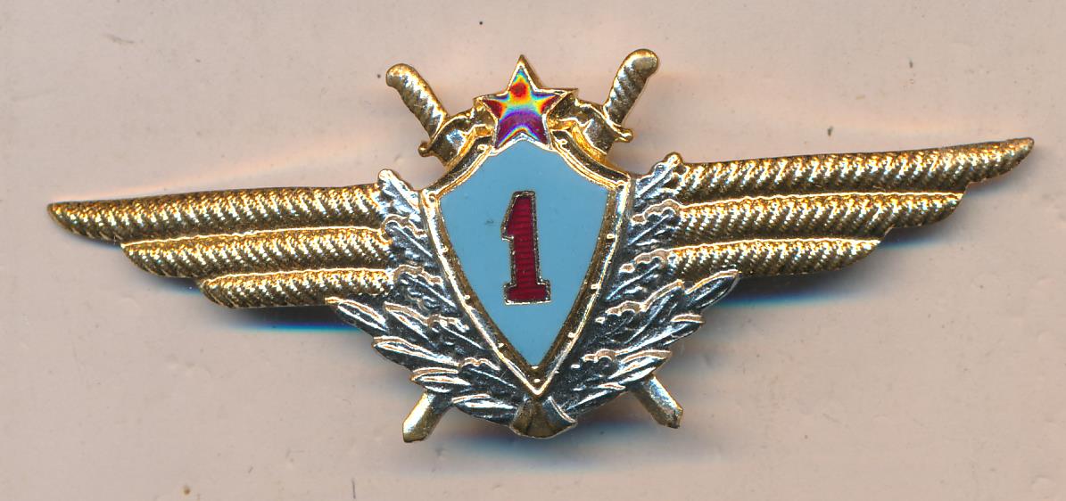 Пилот 1. Знак военного летчика. Знак классности военного летчика ВВС РФ. Значок летчик первого класса. Значок первого класса летный военный.