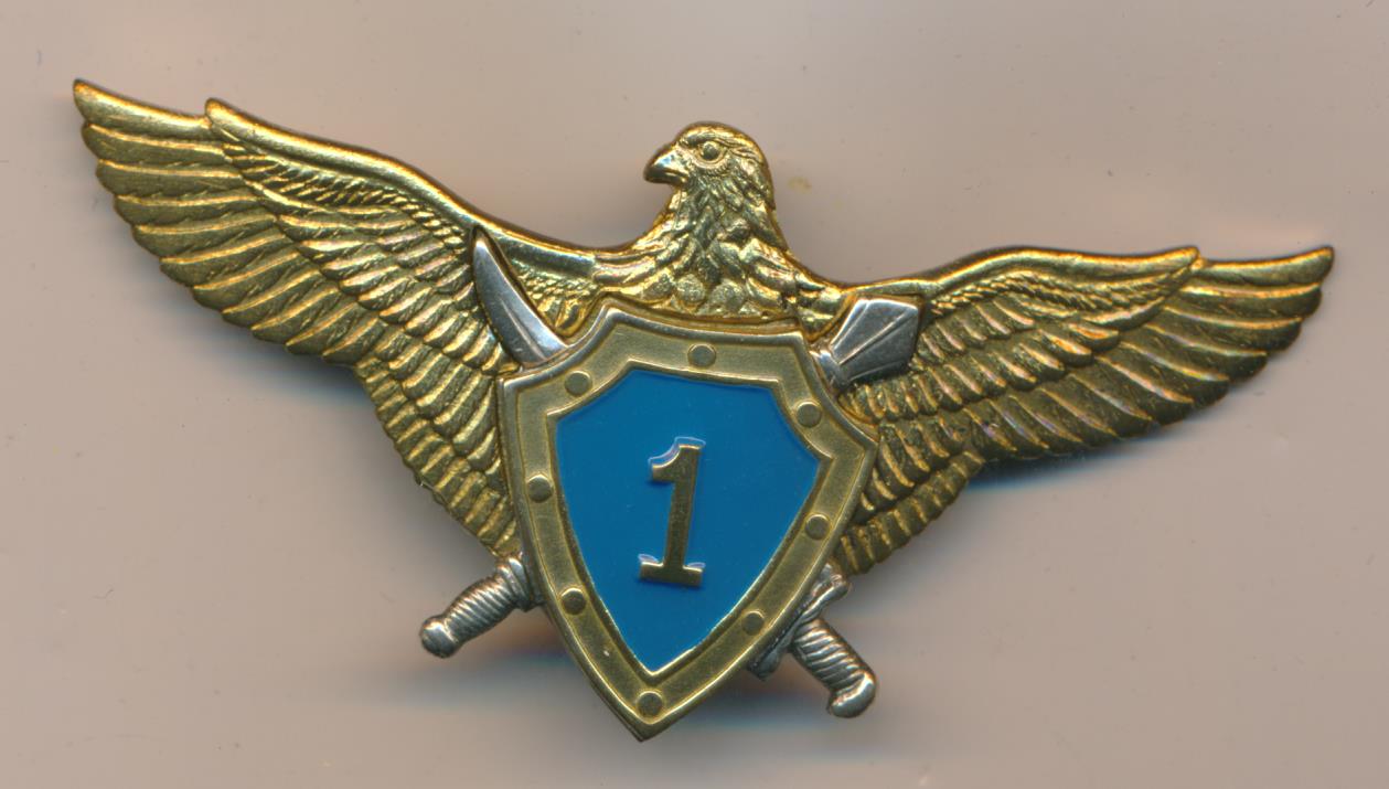 Пилот 1. Знак военного летчика. Знак военный летчик 1 класса. Значок летчик первого класса. Знак ВВС Украины.