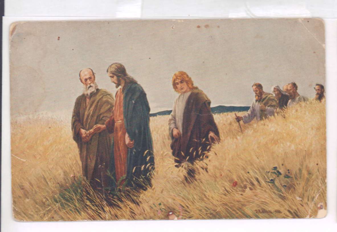 Стало пустынно поля засеяны незаслуженная обида. Иисус Христос с апостолами в поле живопись. Иисус и ученики среди поля.