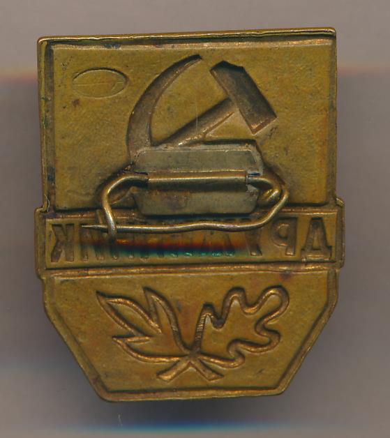 Знак Дружинник.