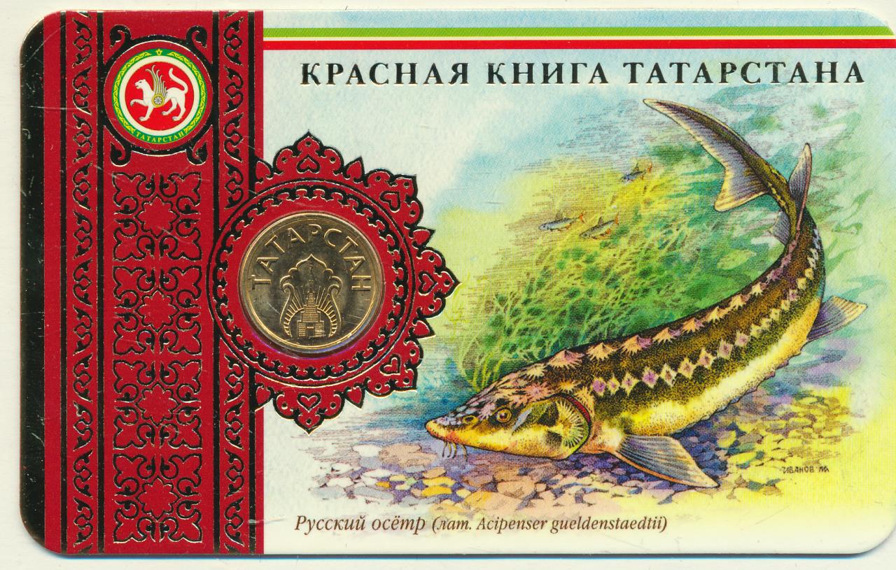 Животные из красной книги татарстана рисунки